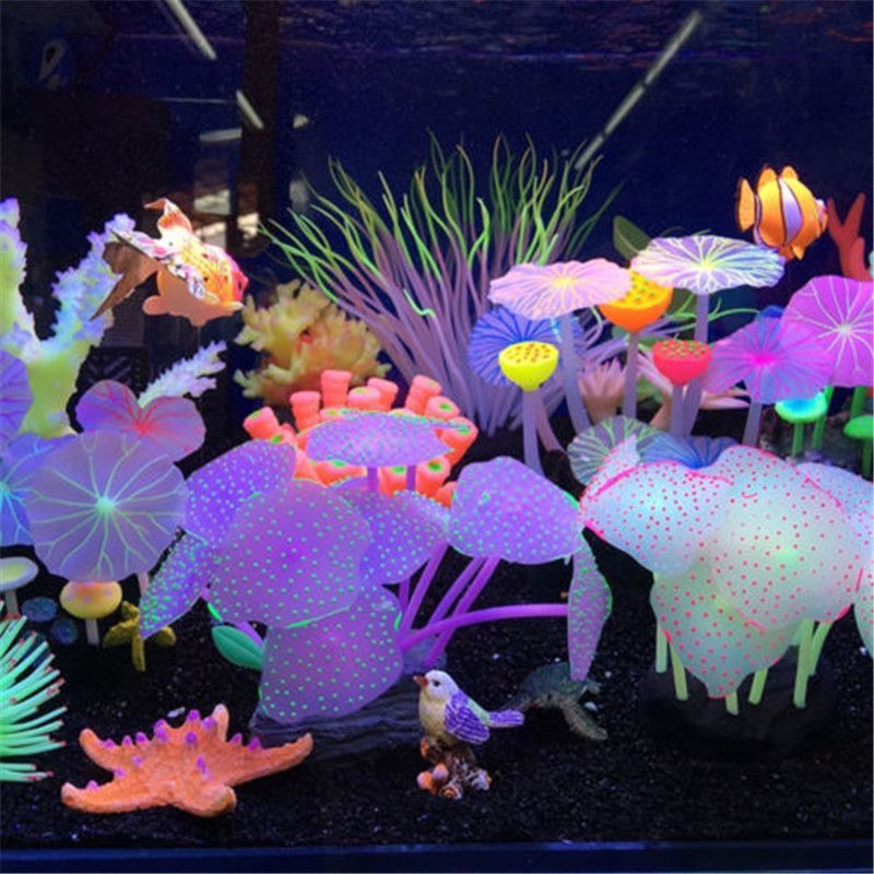 水族館店里買什么花合適一點（水族館水草養護技巧,水草造景搭配指南,水草繁殖方法介紹）
