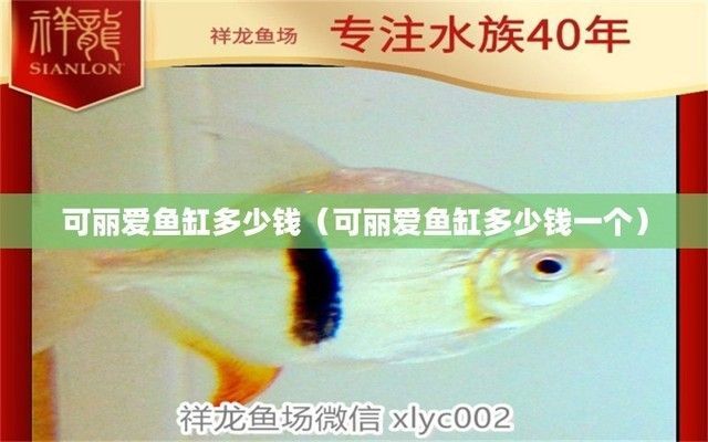 可麗愛魚缸旗艦店是正品嗎多少錢，可麗愛魚缸旗艦店是正品嗎