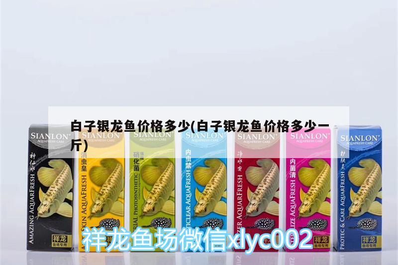 紅綠燈魚缸里放什么?(紅綠燈魚缸里放什么好)