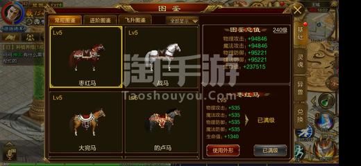 大湖紅龍魚特點介紹視頻(什么是大湖魚紅龍)