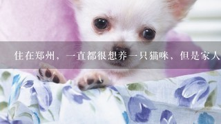 最好看的龍魚圖片大全大圖欣賞高清：龍魚之美，最好看的龍魚圖片大全大圖欣賞