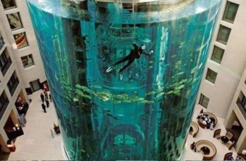 投資一個水族館要多少錢呢（開一個水族館需要多少費(fèi)用） 投資一個水族館要多少錢呢（開一個水族館需要多少費(fèi)用） 水族館百科（水族館加盟） 第2張