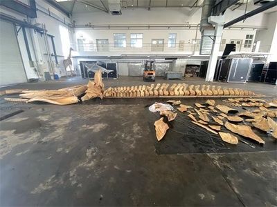 投資一個水族館要多少錢呢（開一個水族館需要多少費(fèi)用） 投資一個水族館要多少錢呢（開一個水族館需要多少費(fèi)用） 水族館百科（水族館加盟） 第4張