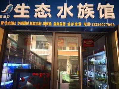 水族館店鋪照片真實（關于水族館店鋪照片真實詳情）