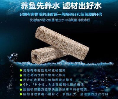 祥龍水族濾材適用場景案例(祥龍水族濾材在家庭水族箱中的應用) 水族館百科(水族館加盟) 第5張 祥龍水族濾材適用場景案例(祥龍水族濾材在家庭水族箱中的應用) 祥龍水族濾材適用場景案例(祥龍水族濾材在家庭水族箱中的應用) 水族館百科(水族館加盟) 第5張