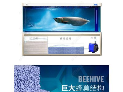 祥龍水族濾材適用場景案例(祥龍水族濾材在家庭水族箱中的應用) 水族館百科(水族館加盟) 第6張 祥龍水族濾材適用場景案例(祥龍水族濾材在家庭水族箱中的應用) 祥龍水族濾材適用場景案例(祥龍水族濾材在家庭水族箱中的應用) 水族館百科(水族館加盟) 第6張