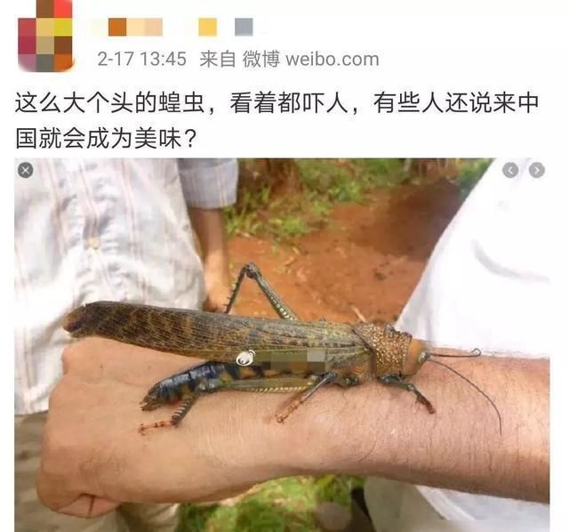 冷水觀賞魚飼養(yǎng)方法,冷水觀賞魚的飼養(yǎng) 觀賞魚百科 第2張 冷水觀賞魚飼養(yǎng)方法,冷水觀賞魚的飼養(yǎng) 冷水觀賞魚飼養(yǎng)方法,冷水觀賞魚的飼養(yǎng) 觀賞魚百科 第2張