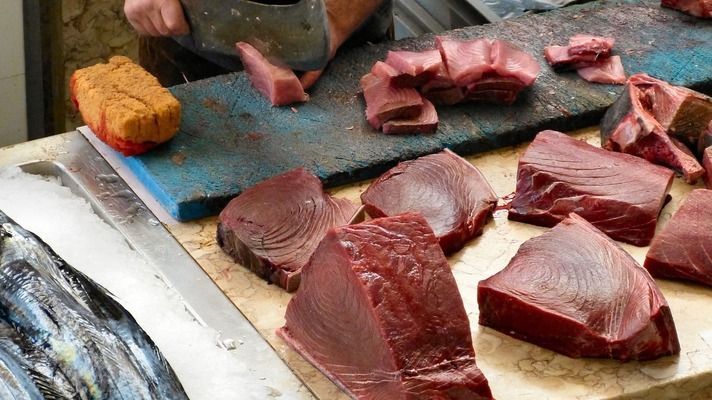 金龍魚與銀版魚飼料差異：金龍魚和銀龍魚在飲食習慣和營養需求上存在一定的差異