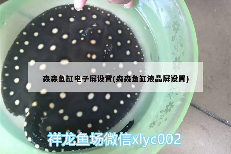 森森魚缸電子屏設置(森森魚缸液晶屏設置)