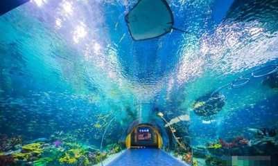 水族館投資大概多少錢一個月（開一個水族館的投資成本是多少） 水族館投資大概多少錢一個月（開一個水族館的投資成本是多少） 水族館百科（水族館加盟） 第4張