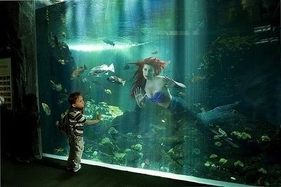 水族館在哪里看動漫（《白沙的水族館》水族館觀看動漫詳情）
