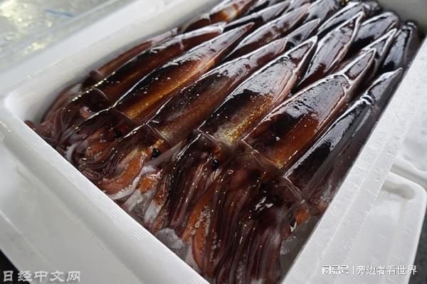 白子黃化銀龍魚用什么燈 白子黃化銀龍魚用什么燈光好