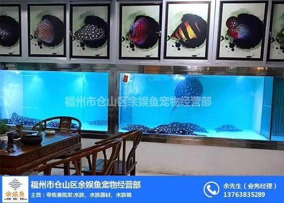 福州魚缸定做定制,福州魚缸定做和定制服務技巧福州魚缸維護保養技巧 魚缸百科 第3張 福州魚缸定做定制,福州魚缸定做和定制服務技巧福州魚缸維護保養技巧 福州魚缸定做定制,福州魚缸定做和定制服務技巧福州魚缸維護保養技巧 魚缸百科 第3張