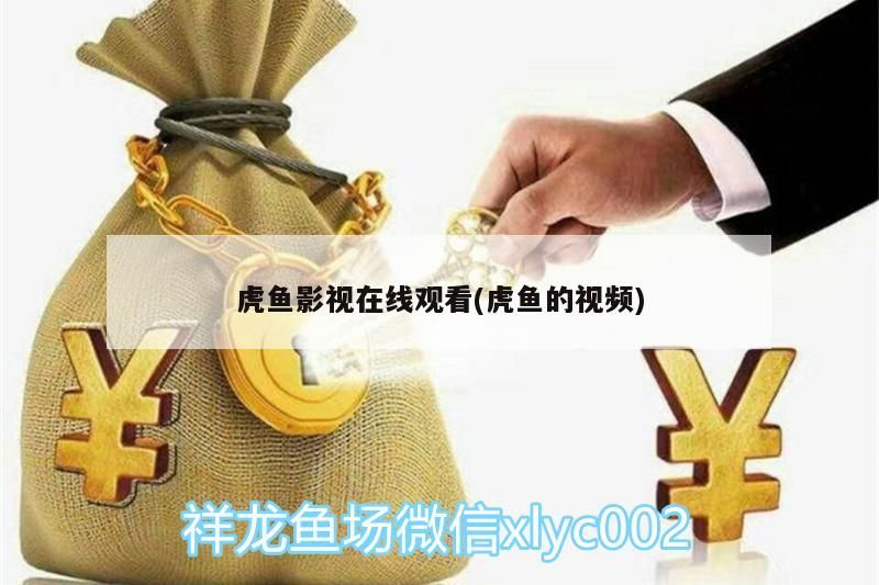 虎魚影視在線觀看(虎魚的視頻) 虎魚影視在線觀看(虎魚的視頻) 虎魚百科 第3張