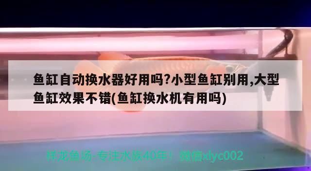 魚缸自動換水器好用嗎?小型魚缸別用,大型魚缸效果不錯(魚缸換水機有用嗎)