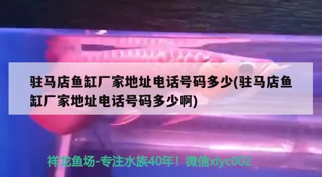 駐馬店魚缸廠家地址電話號碼多少(駐馬店魚缸廠家地址電話號碼多少啊)