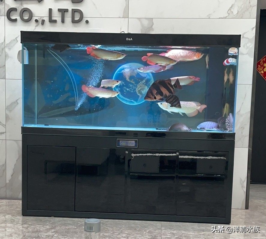 什么品牌魚缸好用，知名魚缸品牌介紹