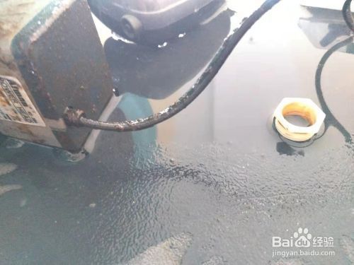 魚缸羊絨棉怎么洗,魚缸羊絨棉晾干技巧魚缸過濾棉更換周期魚缸維護常見問題 魚缸百科 第5張 魚缸羊絨棉怎么洗,魚缸羊絨棉晾干技巧魚缸過濾棉更換周期魚缸維護常見問題 魚缸羊絨棉怎么洗,魚缸羊絨棉晾干技巧魚缸過濾棉更換周期魚缸維護常見問題 魚缸百科 第5張