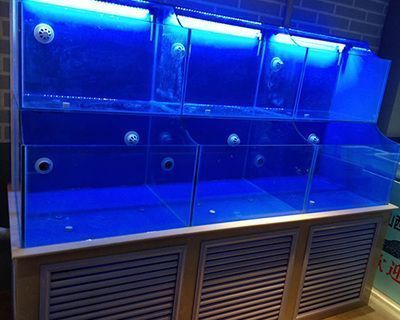龍魚魚缸燈打多長時間為好，龍魚魚缸燈的開啟時間