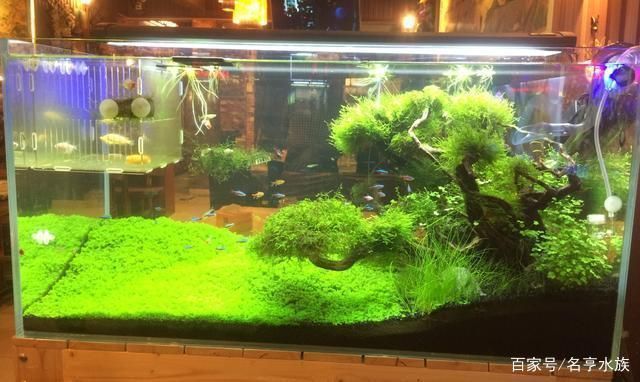 水族館一年能賺多少錢人民幣（水族館與科研機構合作成功案例成功案例成功案例）