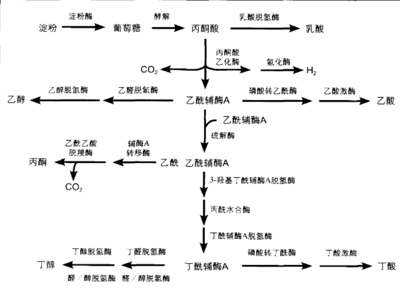 黃金貓與龍魚混養怎么樣啊圖片(黃金貓與龍魚混養怎么樣啊圖片)