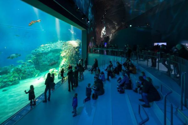 水族館加盟店怎么樣啊(水族館加盟店投資回報(bào)率) 水族館百科(水族館加盟) 第2張 水族館加盟店怎么樣啊(水族館加盟店投資回報(bào)率) 水族館加盟店怎么樣啊(水族館加盟店投資回報(bào)率) 水族館百科(水族館加盟) 第2張