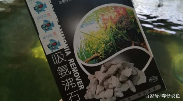 魚缸水發白用什么藥，如何維護魚缸硝化系統魚缸過濾器清洗指南