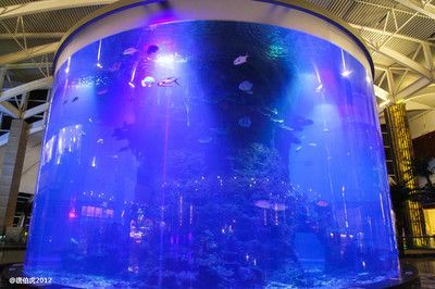 開一個水族館需要什么手續（開設一個水族館所需的手續）