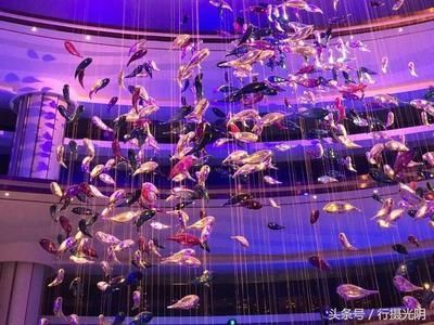開一個水族館需要什么手續（開設一個水族館所需的手續）