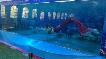 開一個水族館需要什么手續（開設一個水族館所需的手續）