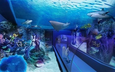 水族館一般多少錢一個月?。ㄩ_一家水族館涉及多種費用）