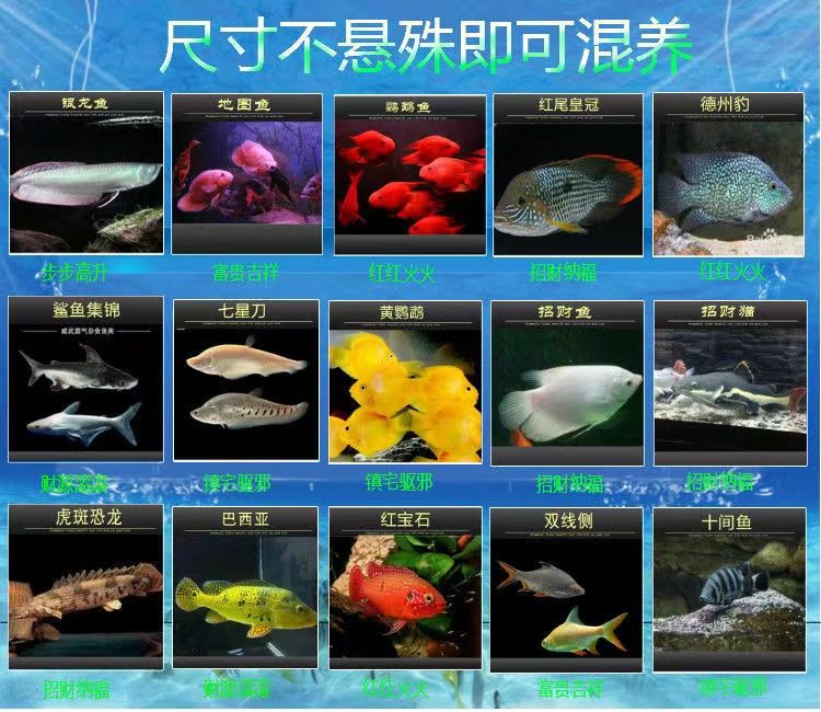 西游記魚缸造景圖片大全(魚缸背景孫悟空圖片大全)