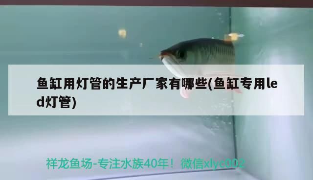 魚缸用燈管的生產廠家有哪些(魚缸專用led燈管)