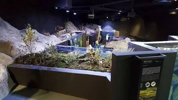 水族館存在的意義（水族館在科研中的作用） 水族館存在的意義（水族館在科研中的作用） 水族館百科（水族館加盟） 第4張