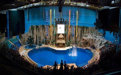開一家水族館需要準備什么東西（開一家水族館需要準備什么？）