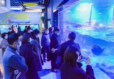 水族館前景發展趨勢（中國水族館行業發展研究分析與發展趨勢預測與發展趨勢）