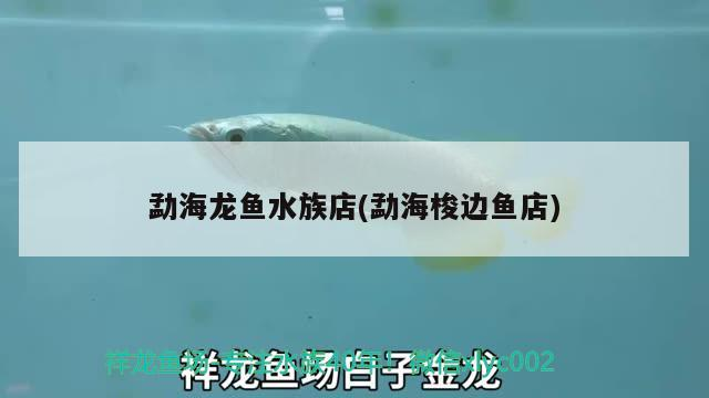 勐海龍魚水族店(勐海梭邊魚店) 勐海龍魚水族店(勐海梭邊魚店) 黃金貓魚百科 第2張