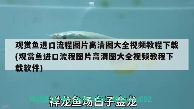 雷龍魚的主要生活地在哪里(雷龍魚原產地環境)