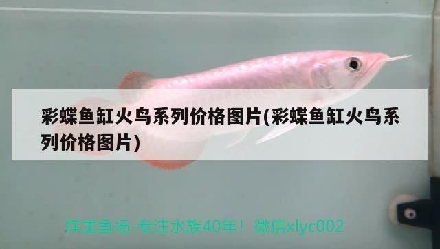 印尼龍魚場視頻播放(印尼紅龍魚場有哪些) 紅龍魚百科 第2張 印尼龍魚場視頻播放(印尼紅龍魚場有哪些) 印尼龍魚場視頻播放(印尼紅龍魚場有哪些) 紅龍魚百科 第2張