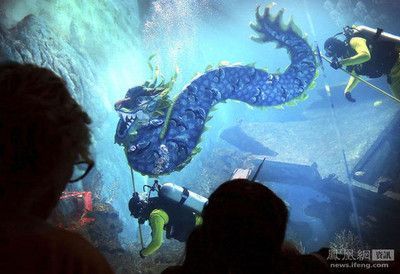 開個水族館前景怎么樣啊(開一家水族館前景如何) 水族館百科(水族館加盟) 第6張 開個水族館前景怎么樣啊(開一家水族館前景如何) 開個水族館前景怎么樣啊(開一家水族館前景如何) 水族館百科(水族館加盟) 第6張