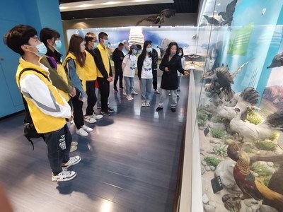水族館工作怎么樣（水族館工作需要具備哪些技能）