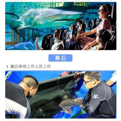 水族館工作怎么樣（水族館工作需要具備哪些技能）