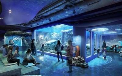 水族館怎么走（上海水族館怎么走詳情） 水族館怎么走（上海水族館怎么走詳情） 水族館百科（水族館加盟） 第2張