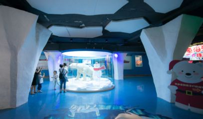 水族館怎么走（上海水族館怎么走詳情） 水族館怎么走（上海水族館怎么走詳情） 水族館百科（水族館加盟） 第5張