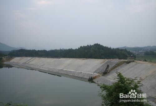魚缸水發白發腥，如何正確使用水質處理劑？ 魚缸水發白發腥，如何正確使用水質處理劑？ 魚缸百科 第5張