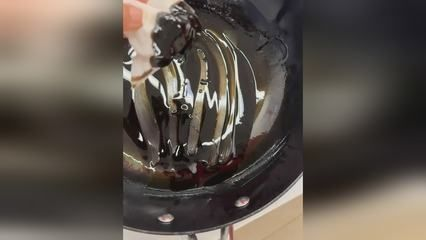 黃吉金龍魚繁殖期行為變化：金龍魚繁殖期的行為變化