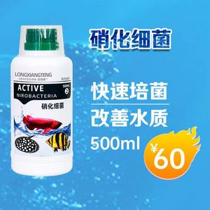 虎魚魟魚龍魚混養用什么濾材好：虎魚魟魚龍魚混養用什么濾材好呢