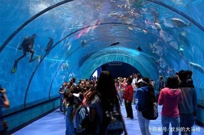 中國最好水族館的排行（大連老虎灘極地海洋館是中國首都的標志性海洋公園之一）