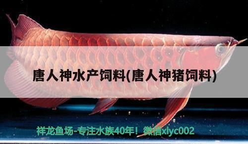 元寶鳳凰魚繁殖期飼料品牌推薦：元寶鳳凰魚繁殖期飼料選擇