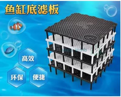 紅龍魚有幾種品種圖片及價格介紹(龍魚紅龍最好的品種是什么)